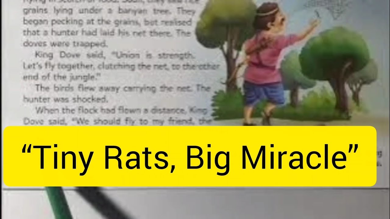 The Doves and the Rats | Easy English Moral Story for Beginners | Hindi Translation