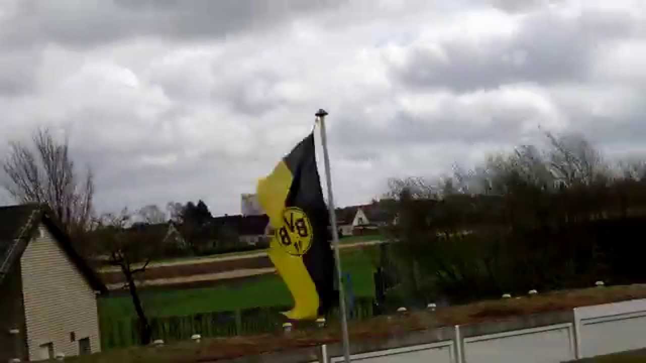 Fahne im Sturm
