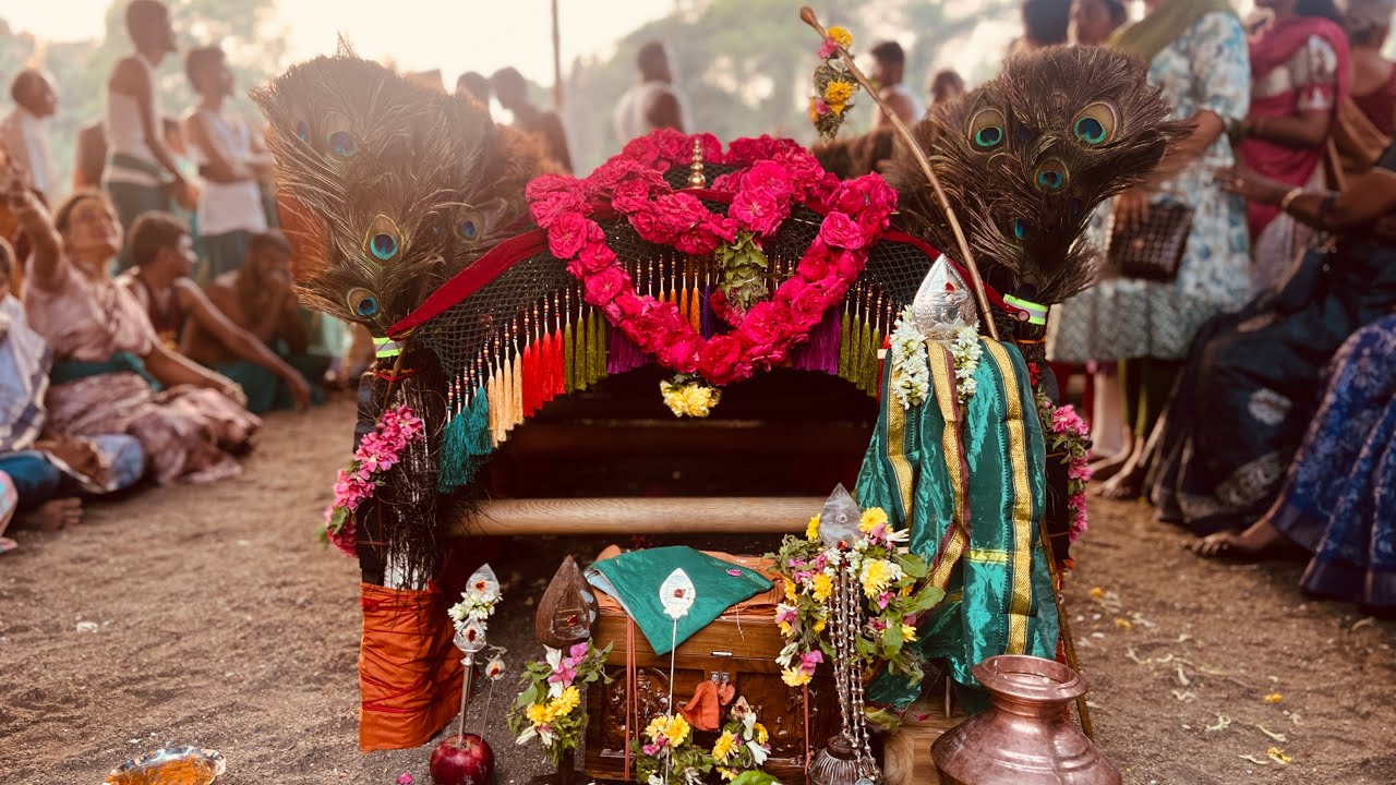 Kavadi attam Palani 2025@theenlightenedsixface @OmSriSevarKodiVelKavadiKuluIdu