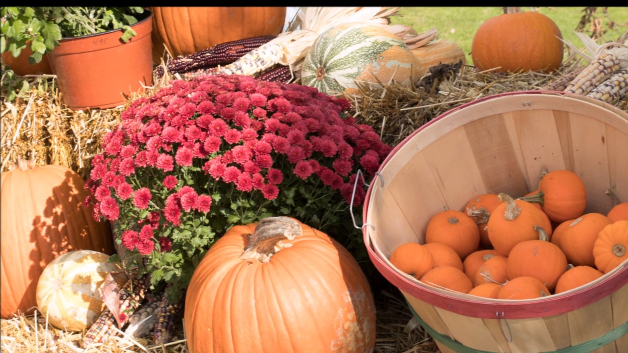 New England Fall Foliage Part 1: Caravan Tour