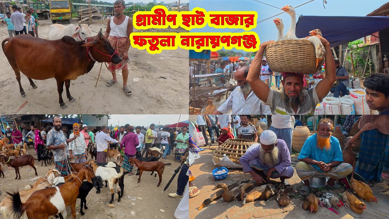 ফতুল্লা  হাট নারায়ণগঞ্জ || Village Market || গ্রামীণ হাট বাজার || Live Village 24