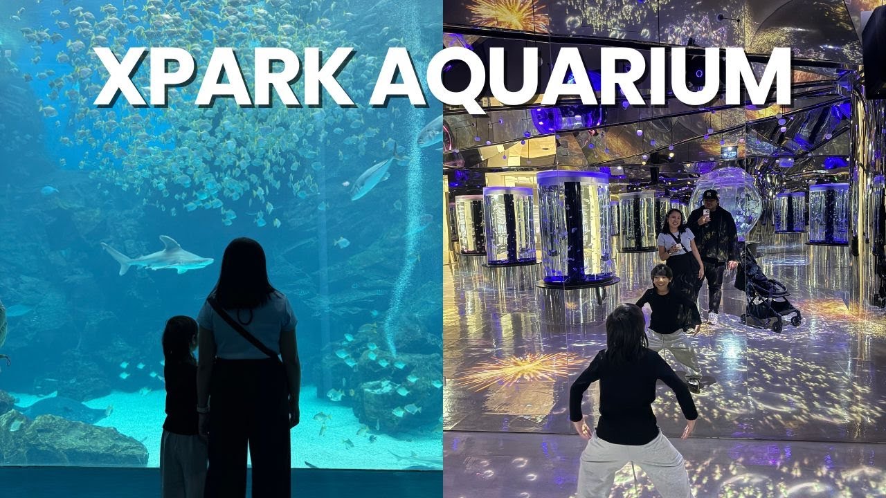 Exploring Xpark Aquarium in Taiwan 🇹🇼 Marine Exhibits & Immersive Experience | We The TZN