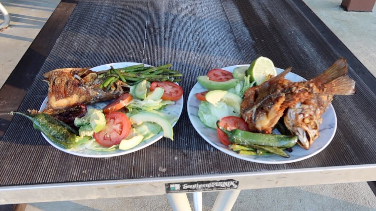 Nueva Técnica De De Pesca, Pesca Y Cocina