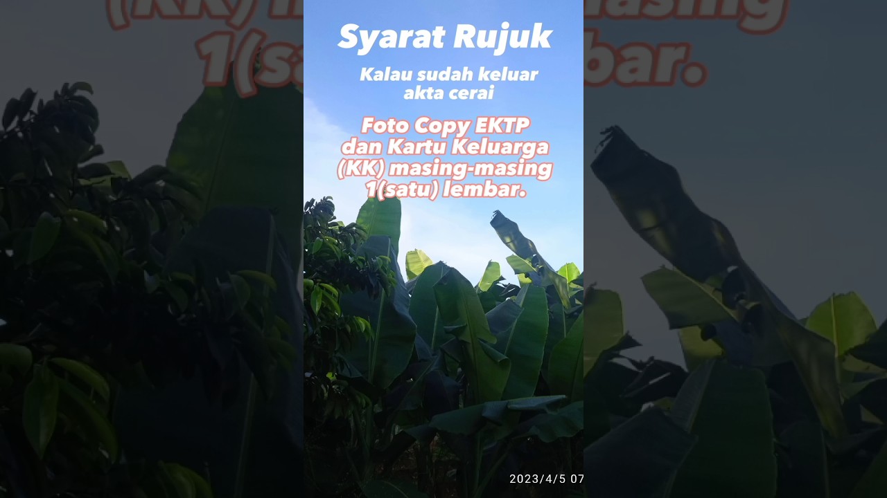 Mekanisme Rujuk Setelah 