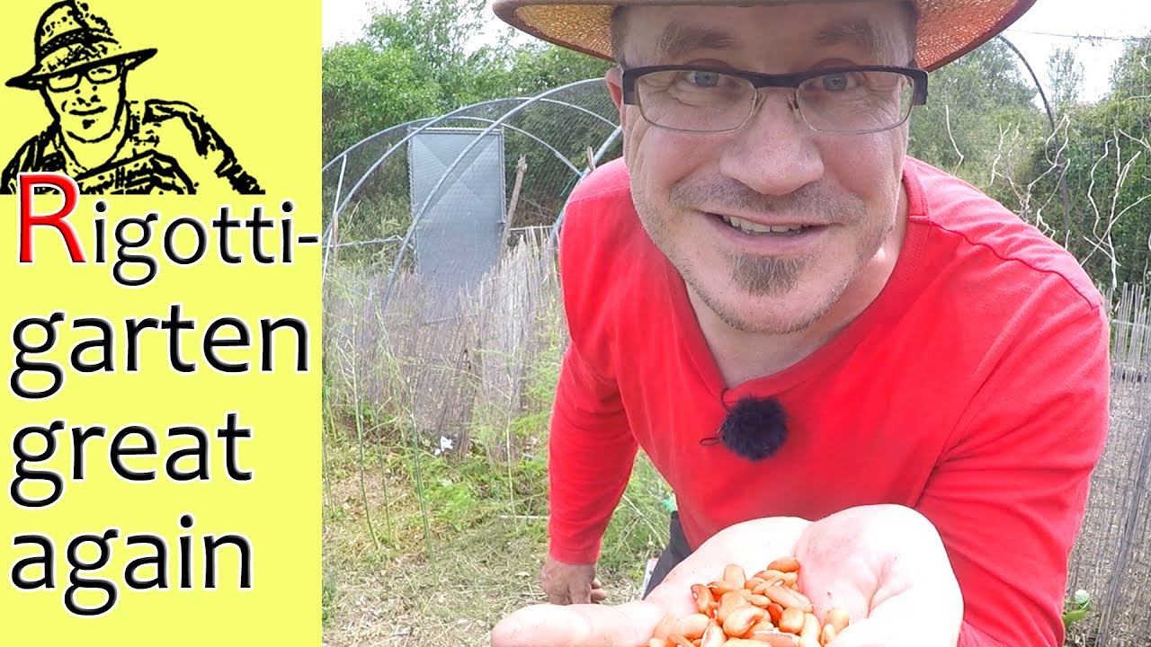 Nach dem Unwetter: neue Pflanzen von den Zuschauern und Gartenrundgang Juni 2019