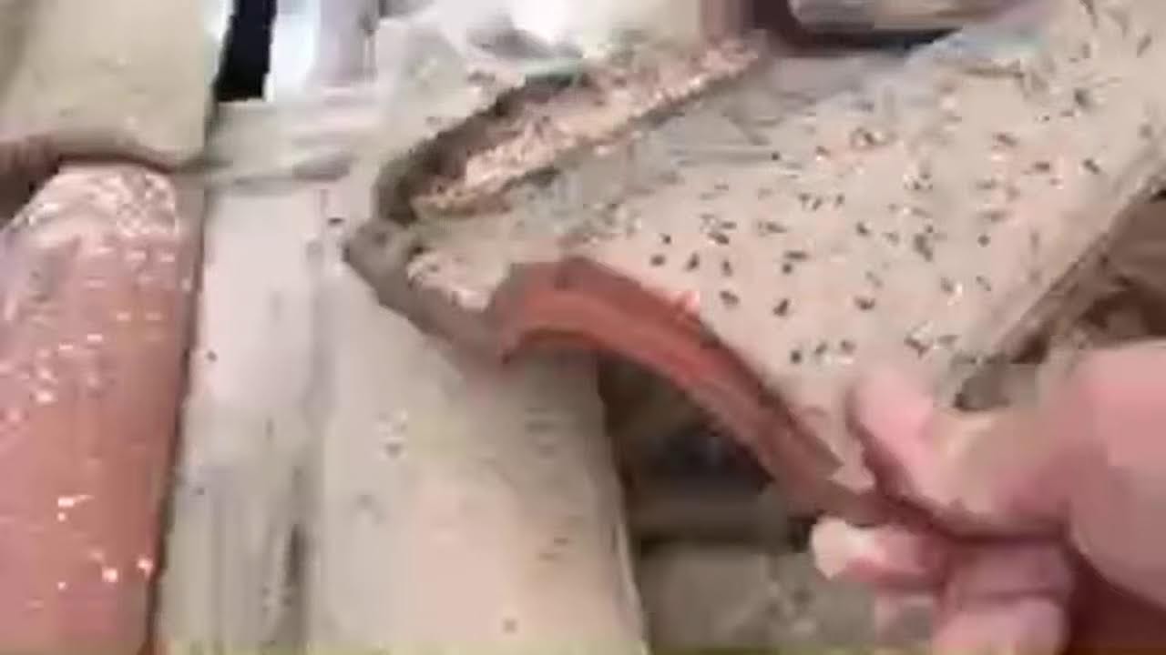 Fourmis Acrobate sous une toiture
