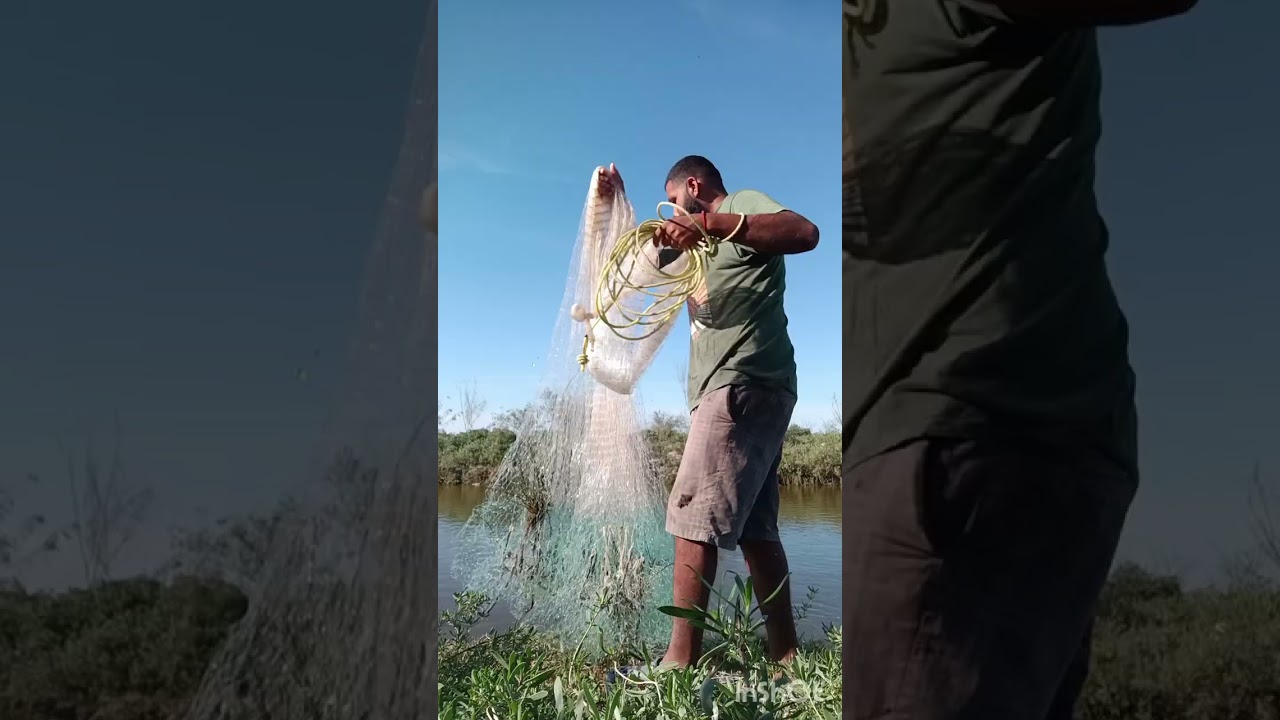 Tirando la atarraya #atarraya #tamaulipas #tilapia #pesca #fishing #rancho 