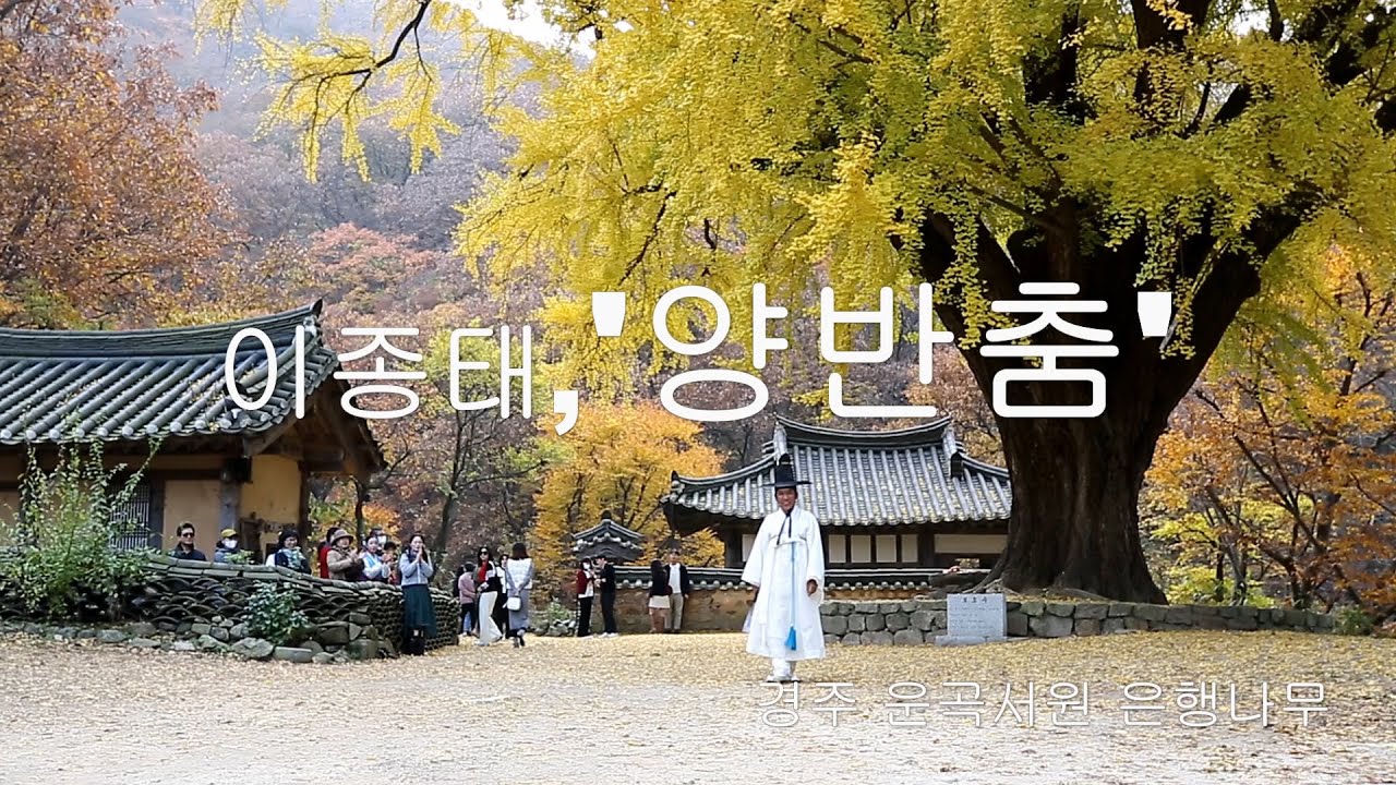 이종태 '양반춤'(221111)