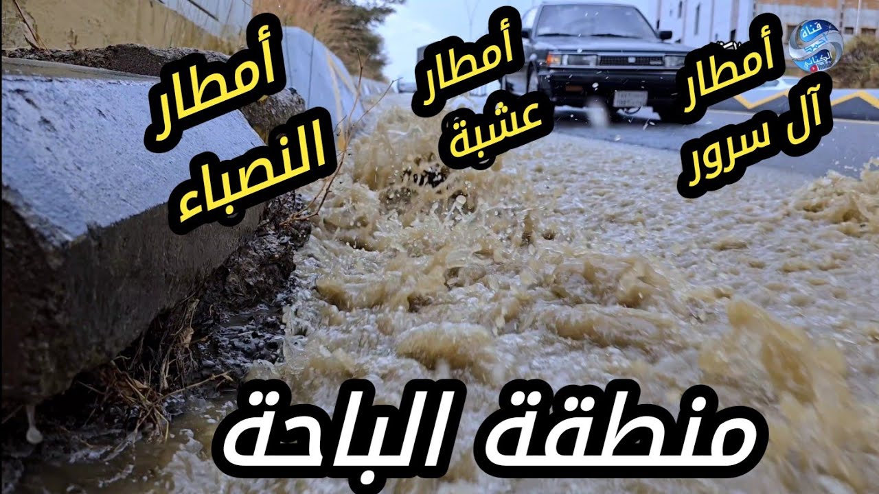 أمطار آل سرور - الحلاة - النصباء - عشبة - منطقة الباحة 16-2-1447#السعودية 