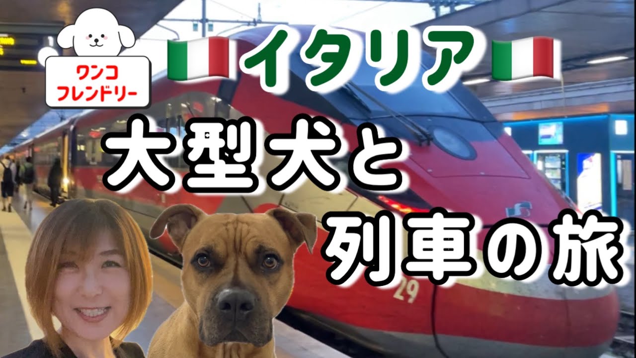 【イタリア】ドッグフレンドリー　大型犬も乗車OK 高速電車の旅