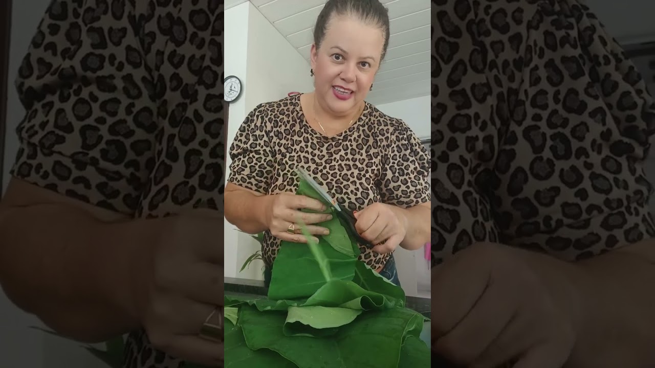 TAIOBA- PANC: PLANTA ALIMENTÍCIA NÃO CONVENCIONAL 