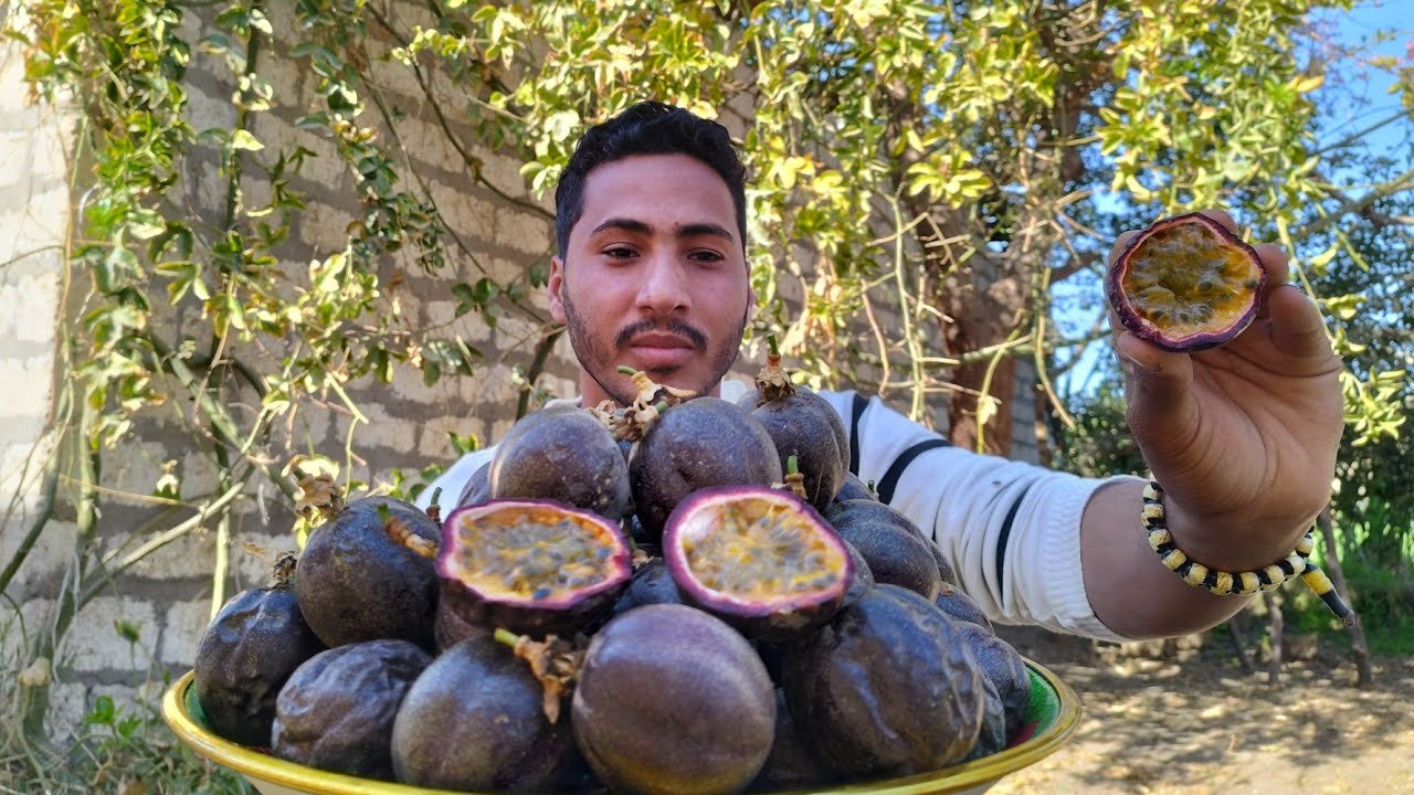 سر تسميدها |هكذا تكون فاكهة المس فلورا بعد 5سنوات | لمن لا يعرفها |passion Fruit after 5 years