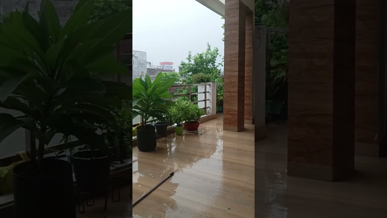 my balcony in 2022 