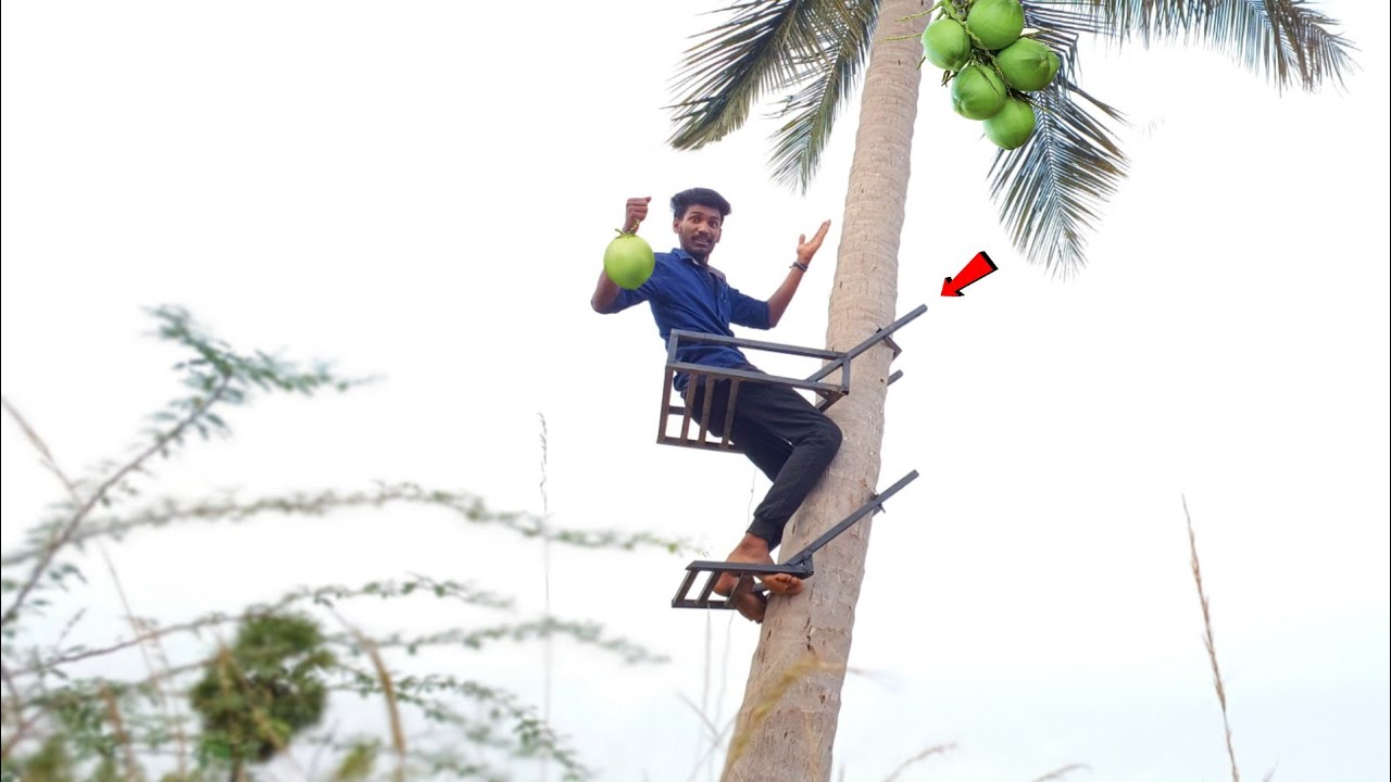 Coconut Tree Climbing Machine 💯 இனி இதை வச்சு தேங்காய் பரிக்கலாம்..! Sathish