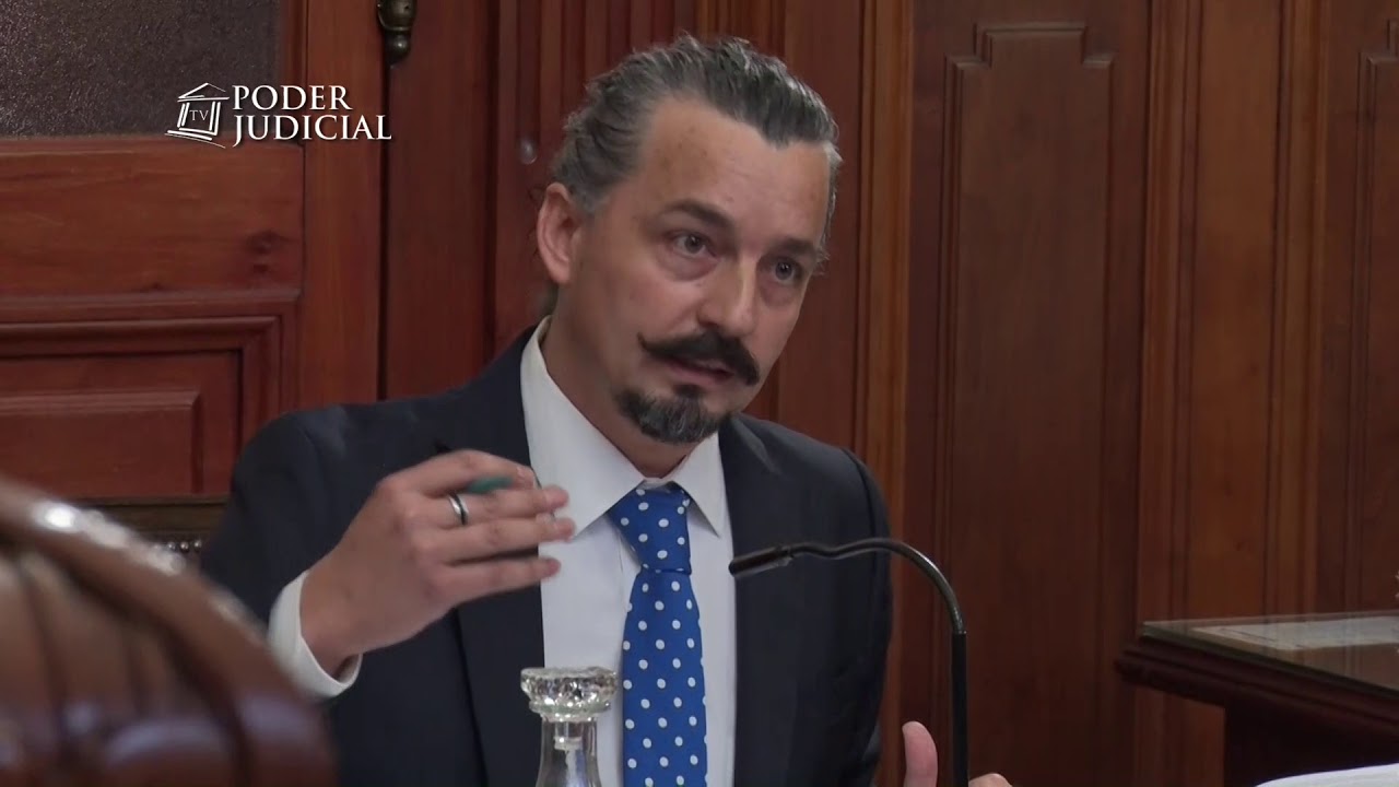 Alegatos por desafuero senador Fulvio Rossi. Corte de Apelaciones de Santiago 25 octubre 2017