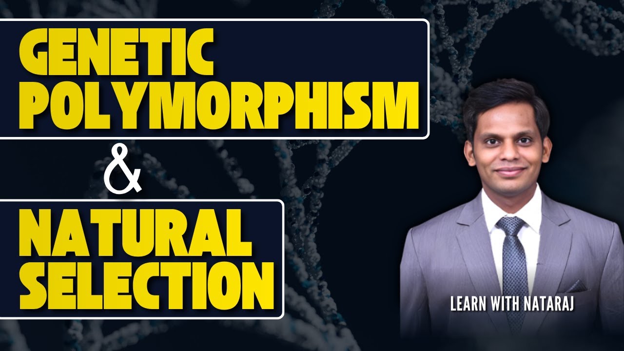 Genetic Polymorphism and Natural Selection Explained by Nataraj sir