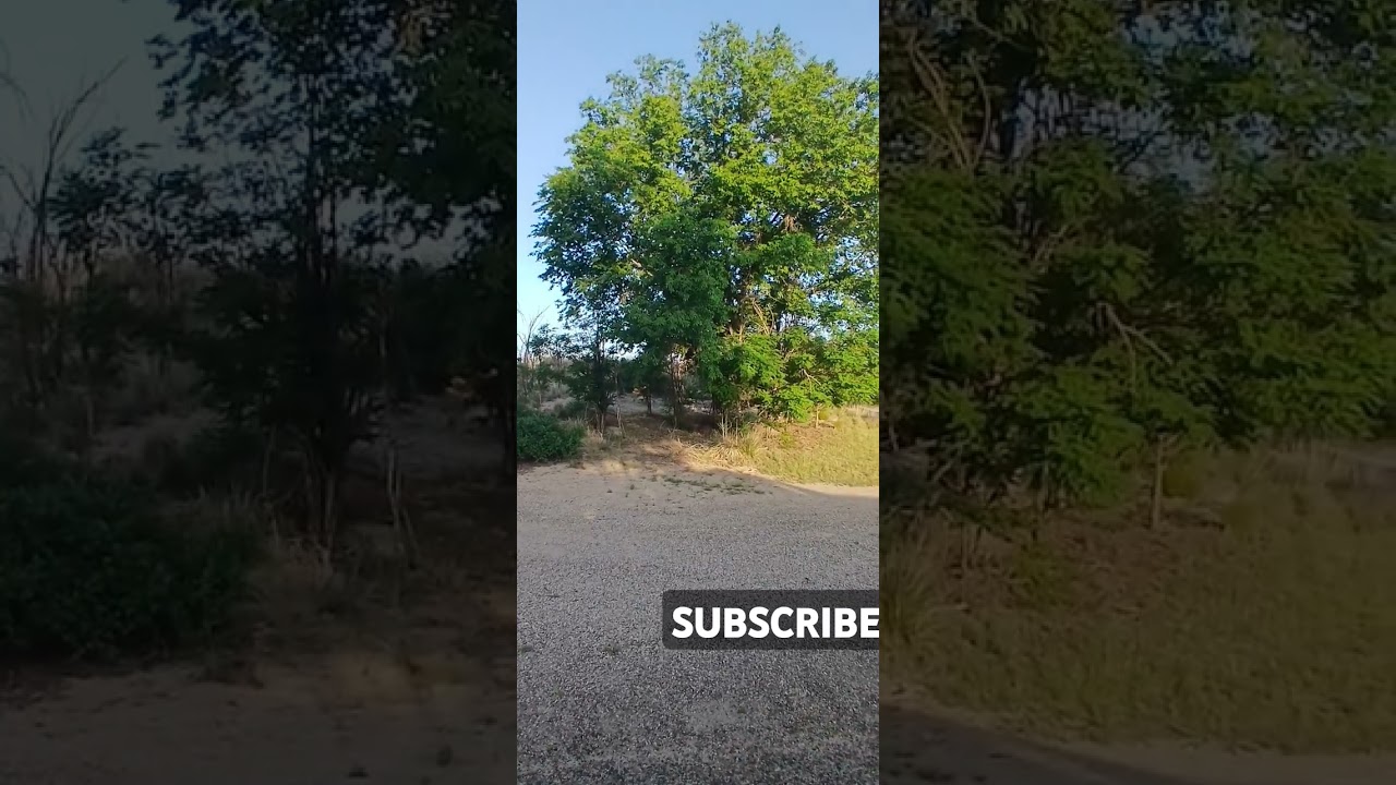 Boondocking Oais  State Park New Mexico