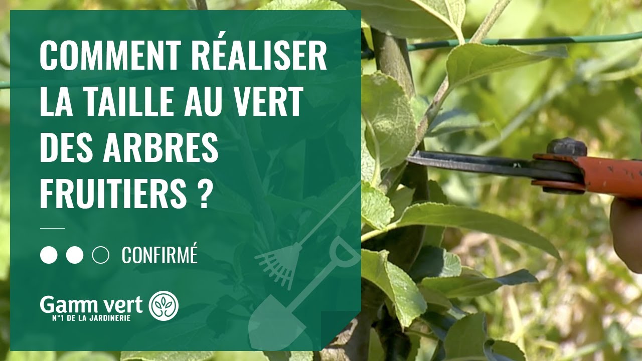 [TUTO] Comment réaliser la taille au vert des arbres fruitiers ? – Jardinerie Gamm vert