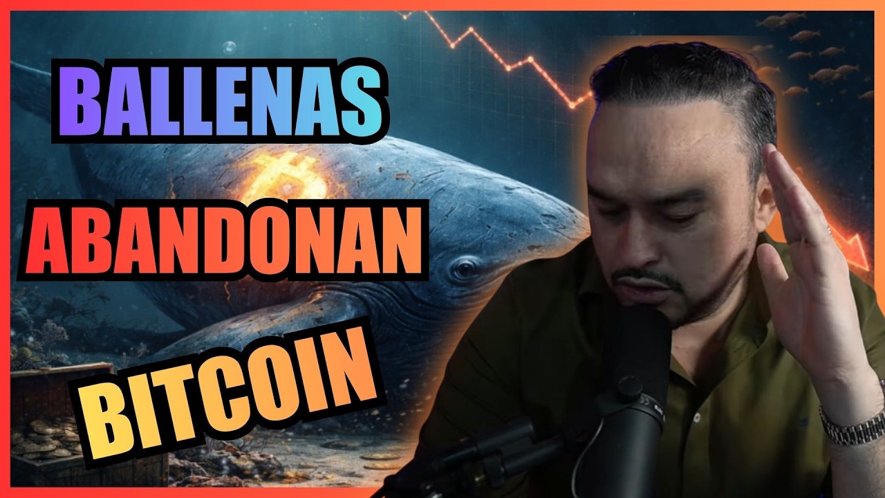 La mayor&iacute;a pierde en Bitcoin por esto: NO SABEN ESPERAR