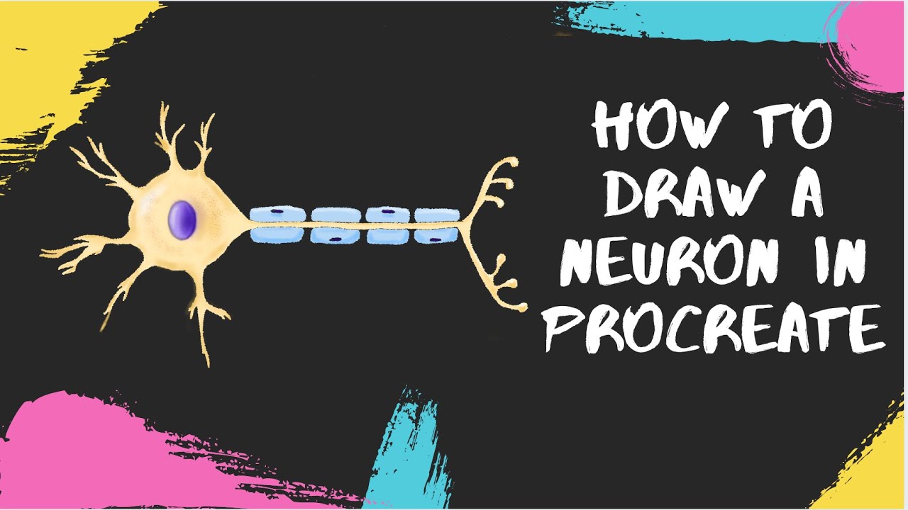 How to Draw a Neuron in Procreate on iPad Pro