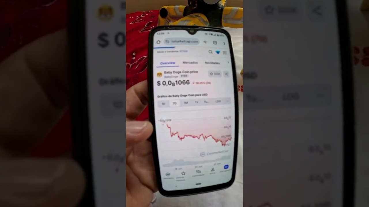 Negativo R$ 30K em Baby Doge Coin