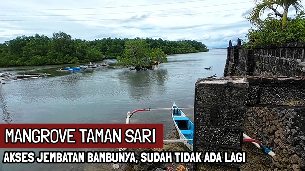 TAMAN SARI HUTAN MANGROVE, SUDAH TERBENGKALAI, BALI 2026