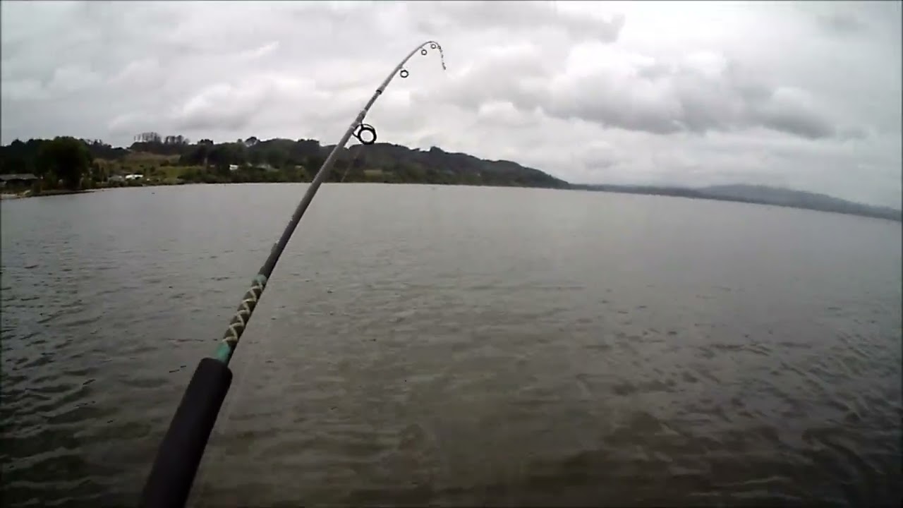 NEW ZEALAND TROUT FISHING SOME KIND OF A THING 15