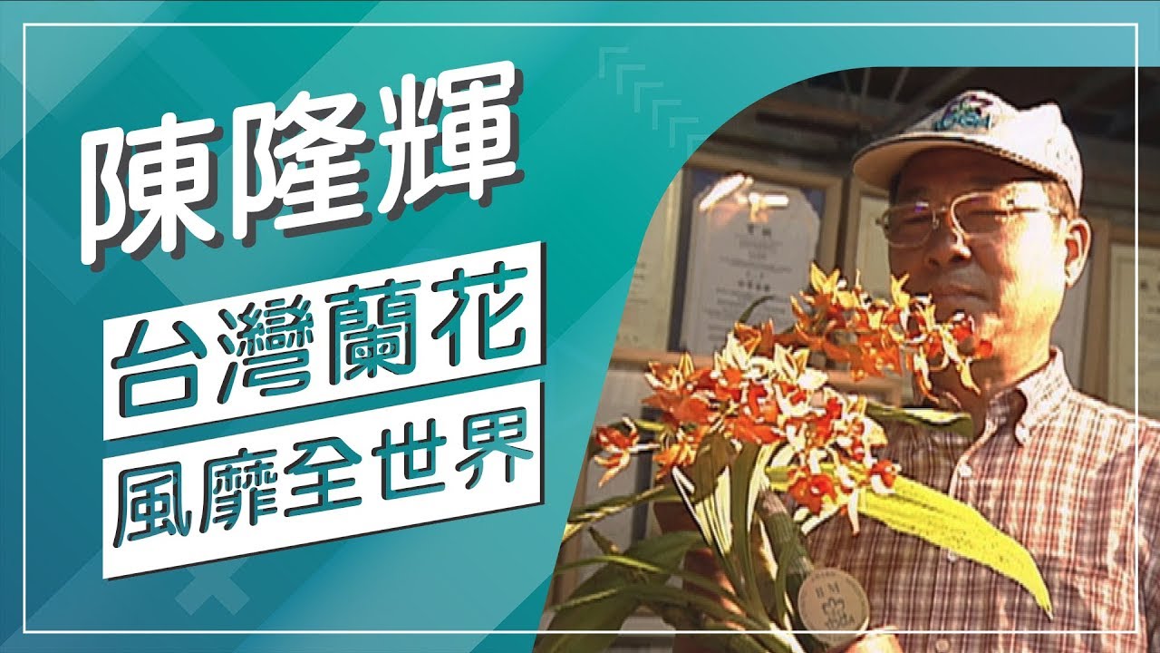 【草地狀元經典重現】當章魚、天鵝、大象...都變成蘭花，你有看過嗎！？聞名世界台灣蘭花王國，什麼花都有什麼都不奇怪！