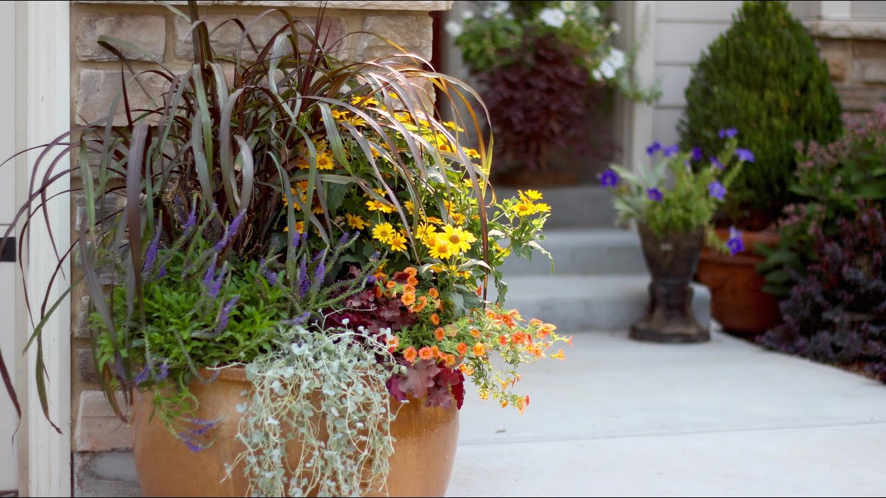 DIY Fall Container Garden | Easy Autumn Planter Ideas with Proven Winners®