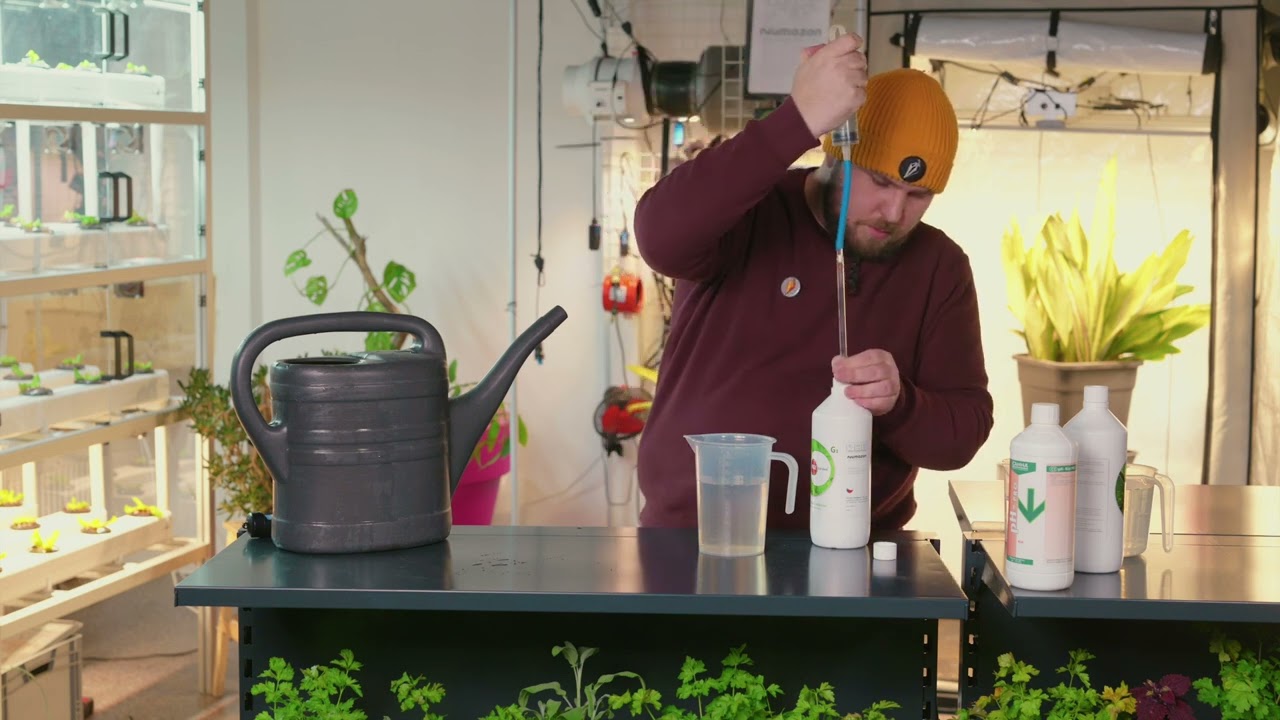 Growmarket   Hnojiva