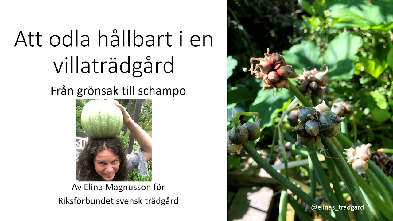 Att odla hållbart i en villaträdgård