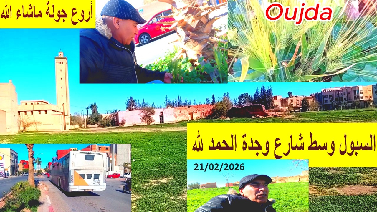 جولة عجيبة من اروع الجولات لقيت سبول تبارك الله  وسط الشارع21_02_2026