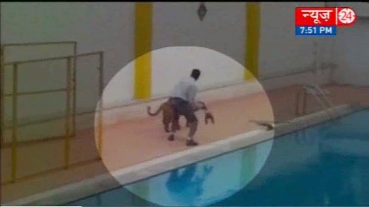 CCTV Footage : Leopard enters Bengaluru school, four injured