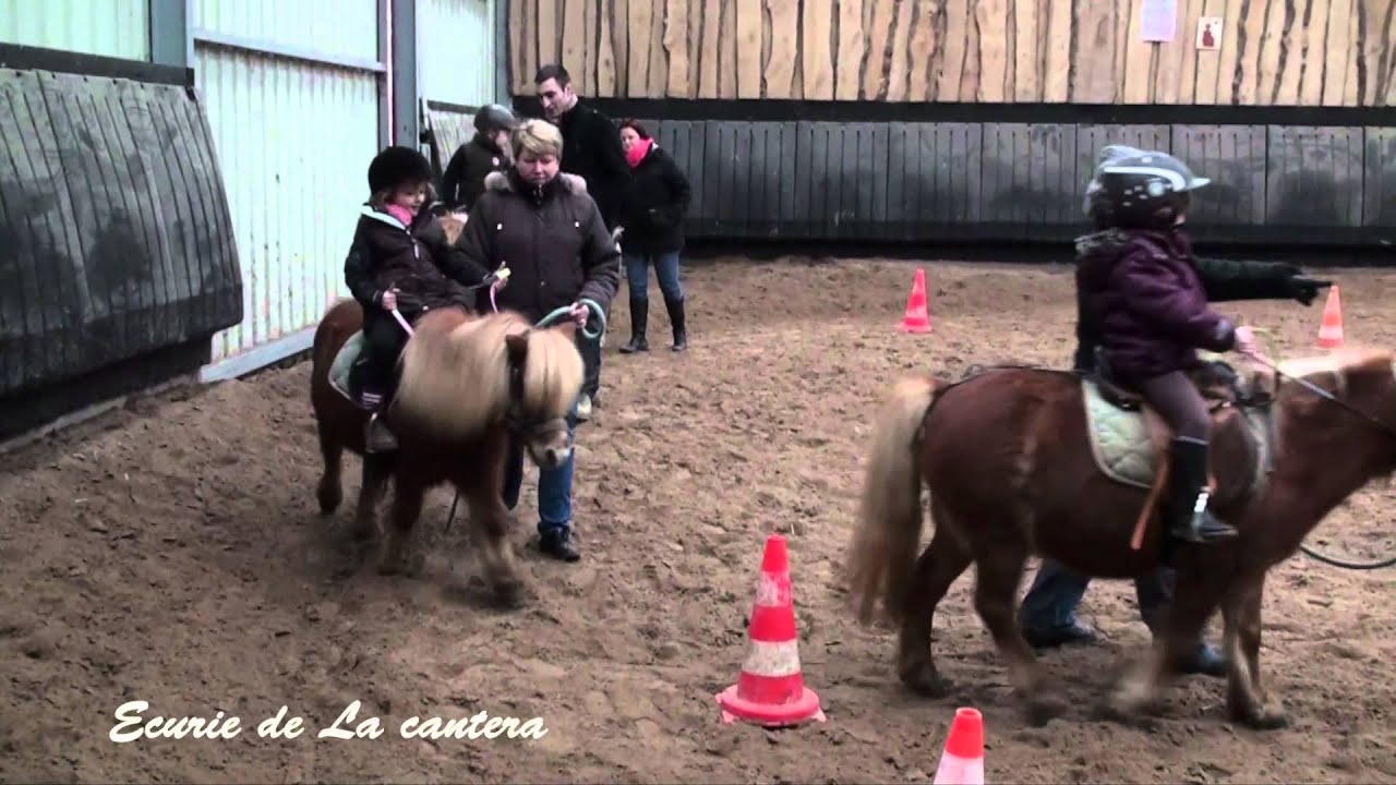 Club - Baby Poney