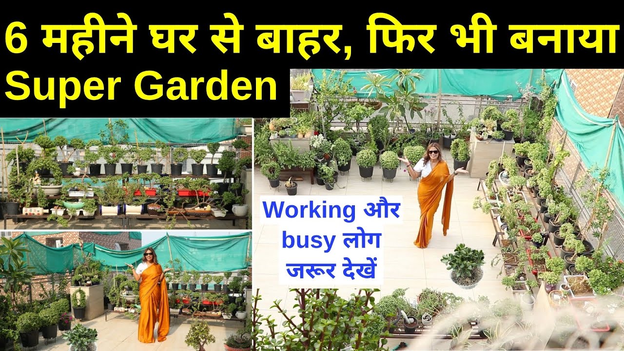 कम समय और देखभाल में बना दिया Super Garden 😍 Working और Busy लोग जरूर देखें