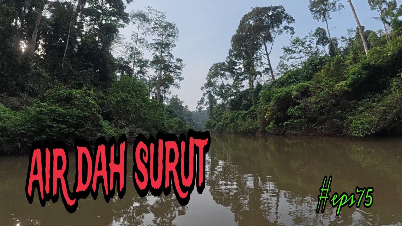 Tahan jaring ikan dan tajur baung/lampam dah mula naik..(#eps75)