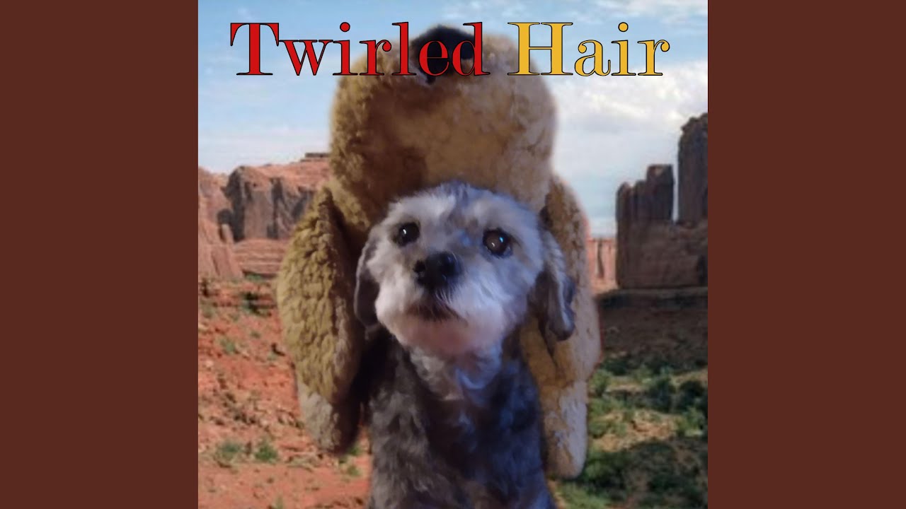 Twirled Hair