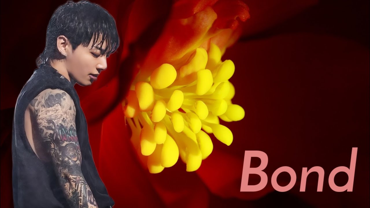 Bond① #bts妄想 #ジョングク妄想