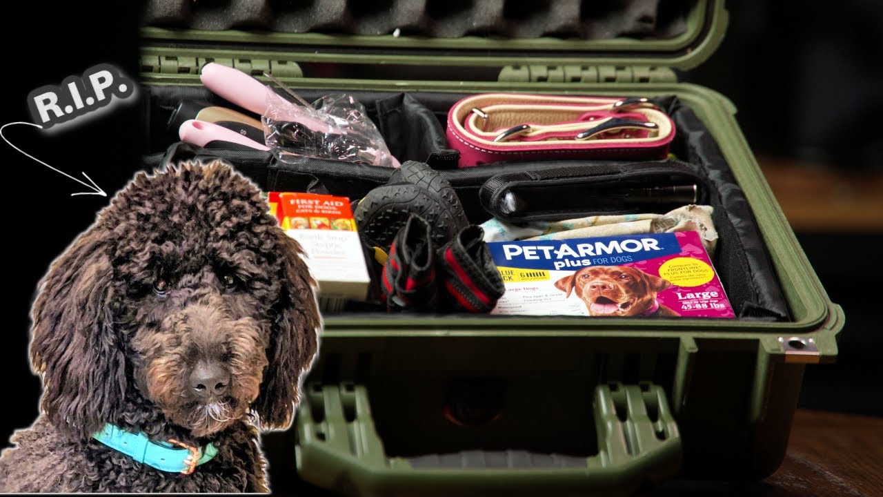 DIY Dog Bug Out Emergency Kit - Make it Before It's too Late!