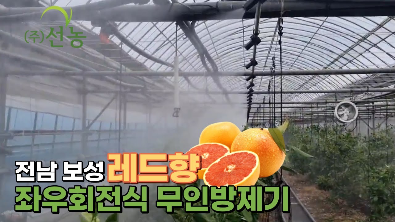 [선농]전남 보성 레드향 하우스 좌우회전식 무인방제기(SN-16)