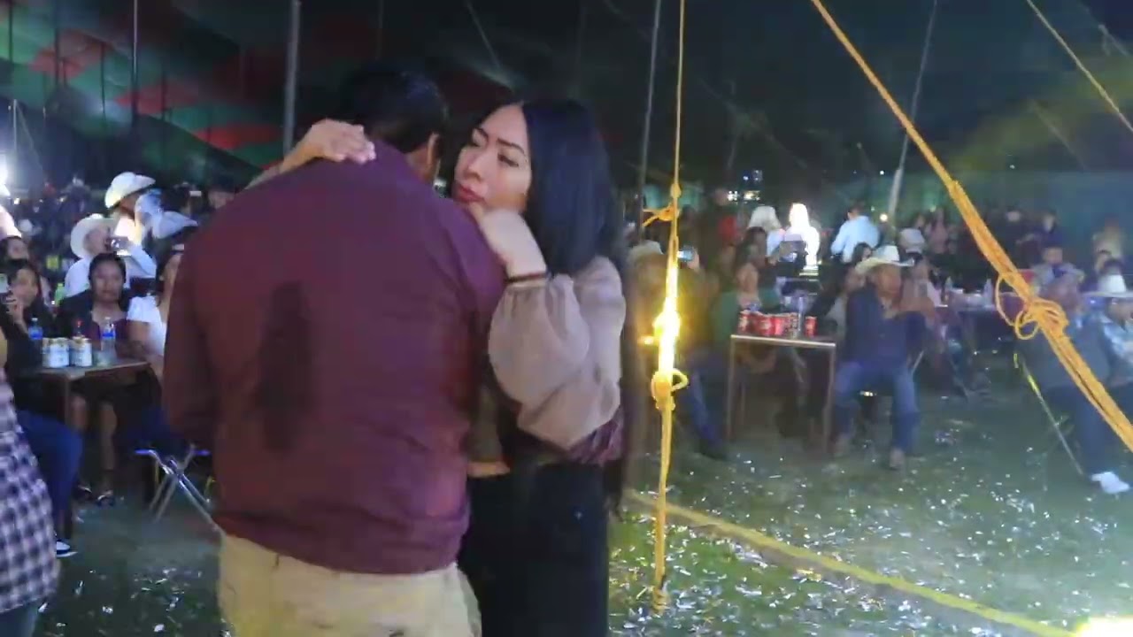 Tigrillo Palma en San Agustín Atenango Oax. 2025