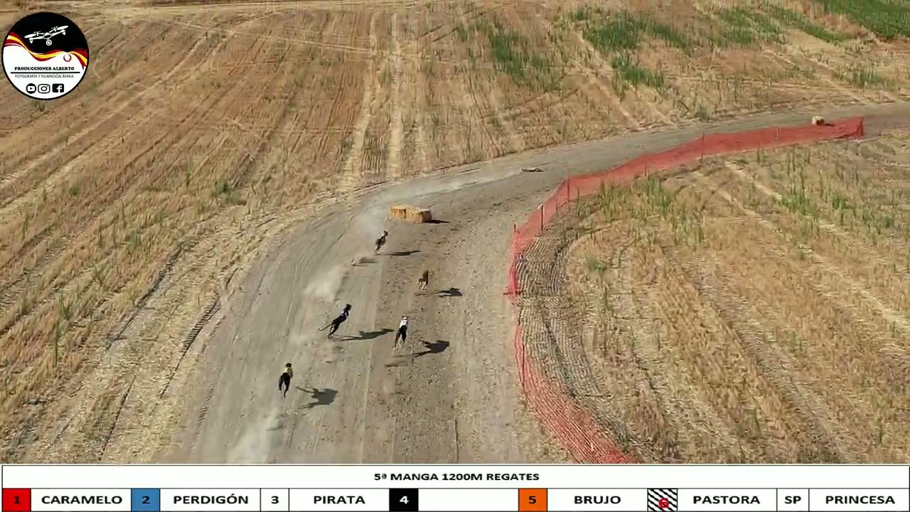 CARRERA DE REGATES , LA MATA TOLEDO 1200 METROS