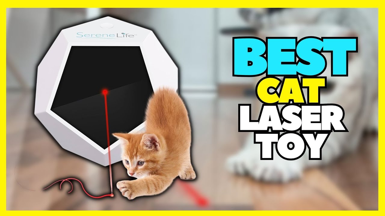 Top 5 Best Cat Laser Toy For Indoor Use 2023 Interactive Toys