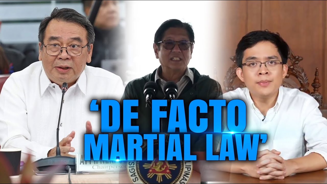 Paglalahad ukol sa de facto Martial Law ni Rep. Leviste, sang-ayon si Atty. Neri Colminares