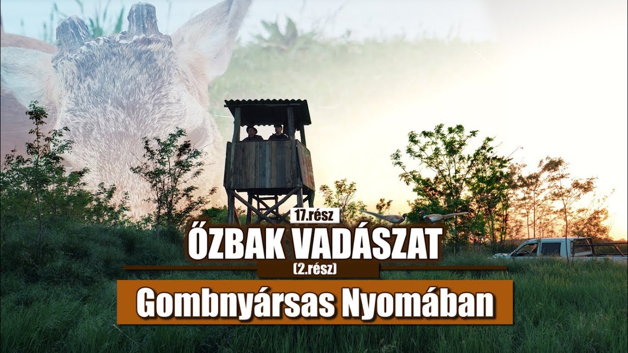 Vadkaland (17.rész) - ŐZBAK VADÁSZAT (2/2)