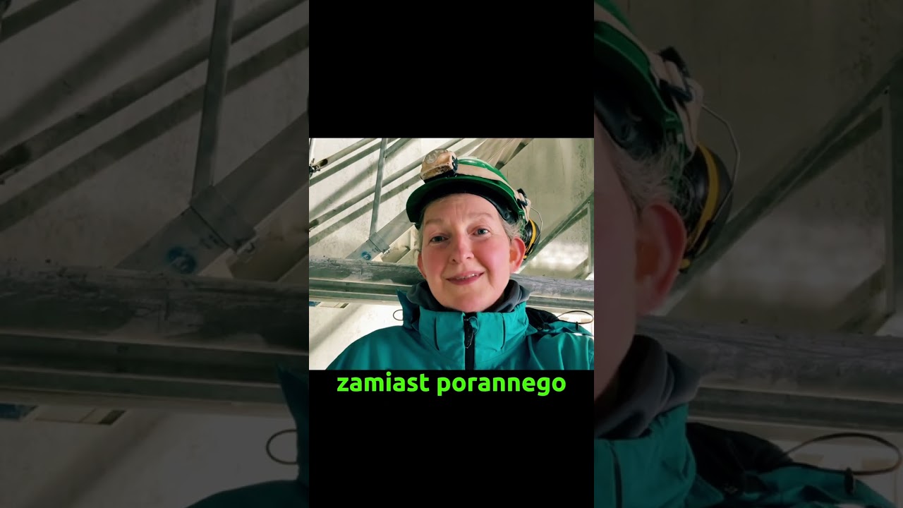 Co krowa ma wspólnego z Twoimi  pieniędzmi? 💰Więcej niż myślisz.