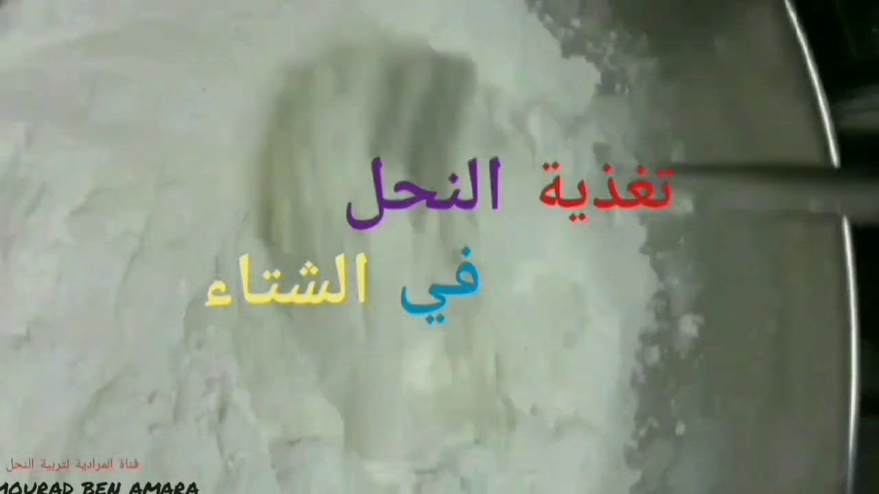 التغذية السليمة للنحل في الشتاء↩لتنشيط الملكة✔وتقوية النحل
