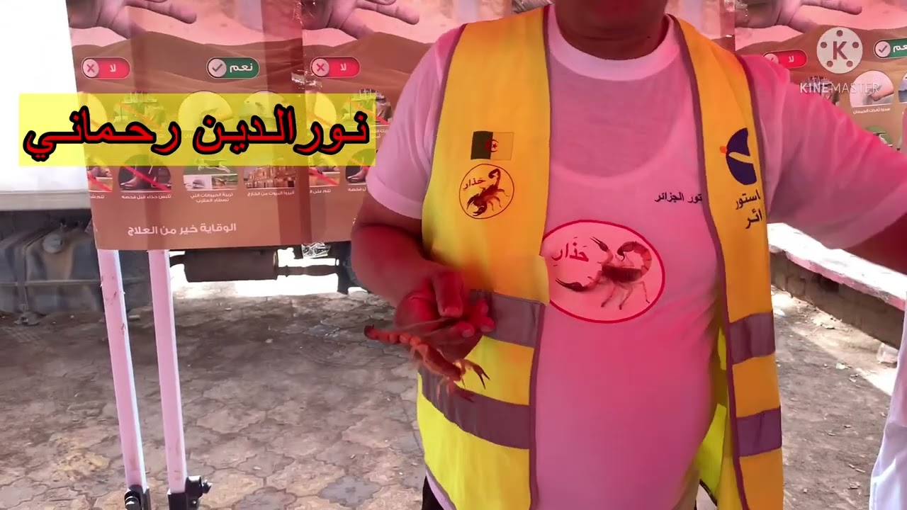 شاهد  أين توجد اخطر انواع العقارب بالجزائر
