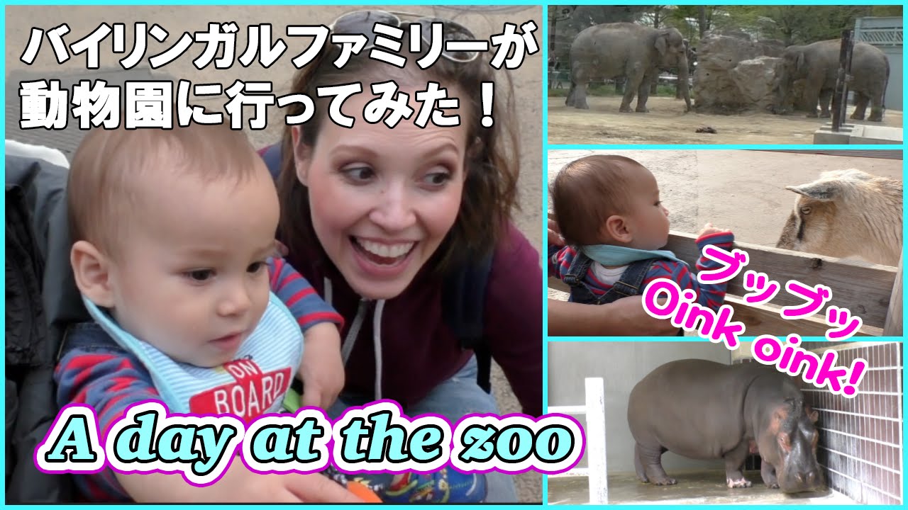 英語で動物園に行ってみた // Going to the zoo