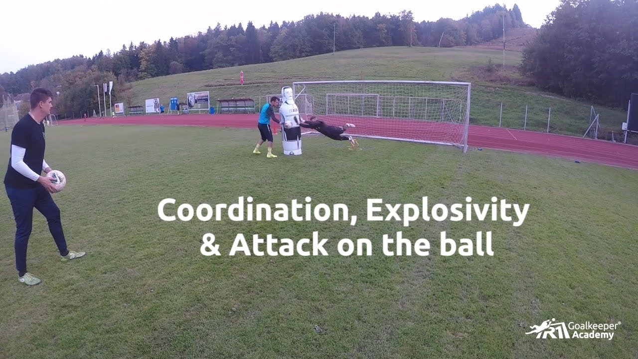 Goalkeeper training: Coordination & Explosivity & Ball attacking